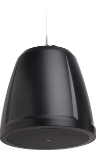 QSC AD-P.SUB-BK AcousticDesign 6.5-inch dual voice-coil pendant subwoofer, black