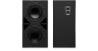 QSC RSB-212 dual 12-inch LFE cinema reference monitor subwoofer
